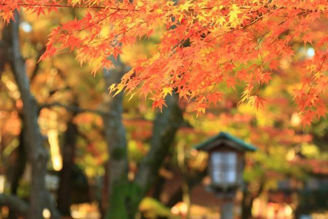 Kanazawa Guest House Nana Eksteriør bilde